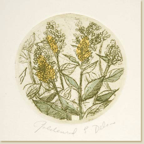 Floral Roundel Series: Goldenrod by Elizabeth Delson