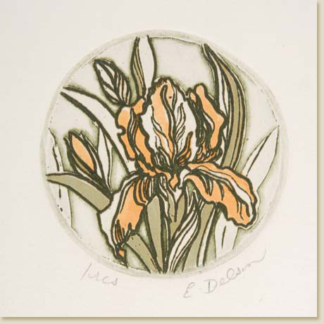 Floral Roundel Series: Iris by Elizabeth Delson