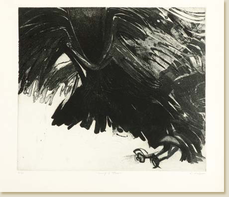 Wings of Fear by Elizabeth Delson