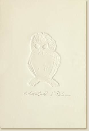 White Owl by Elizabeth Delson