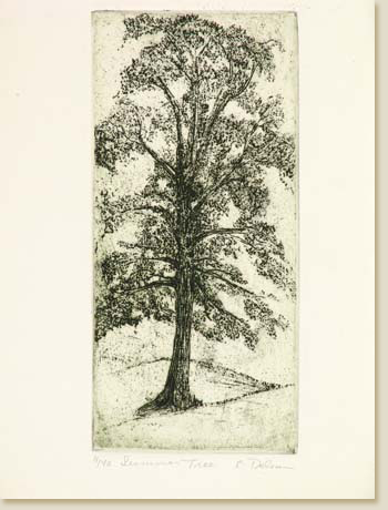Summer Tree by Elizabeth Delson