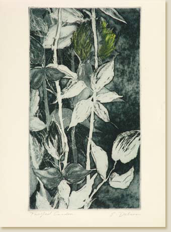 Tangled Garden by Elizabeth Delson
